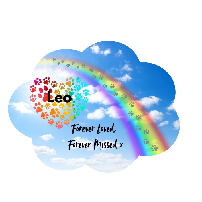 Pets In Memorial Photo Solar Light
