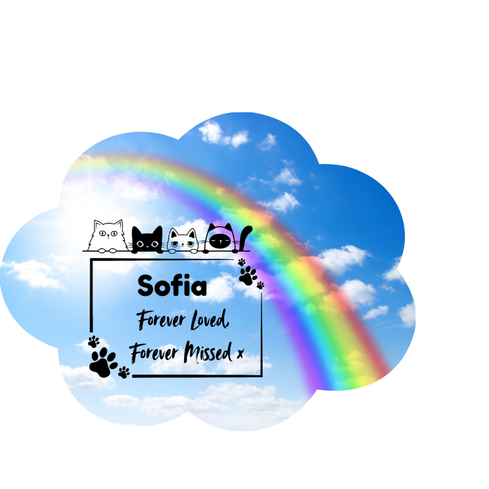 Pets In Memorial Photo Solar Light