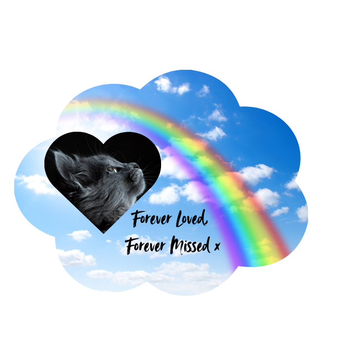 Pets In Memorial Photo Solar Light