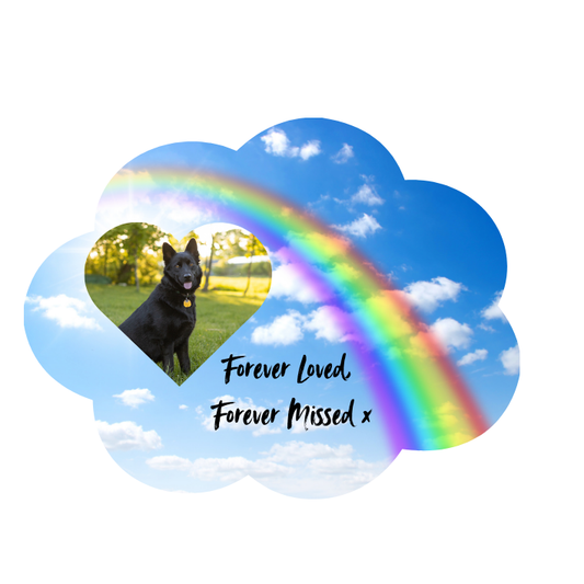 Pets In Memorial Photo Solar Light